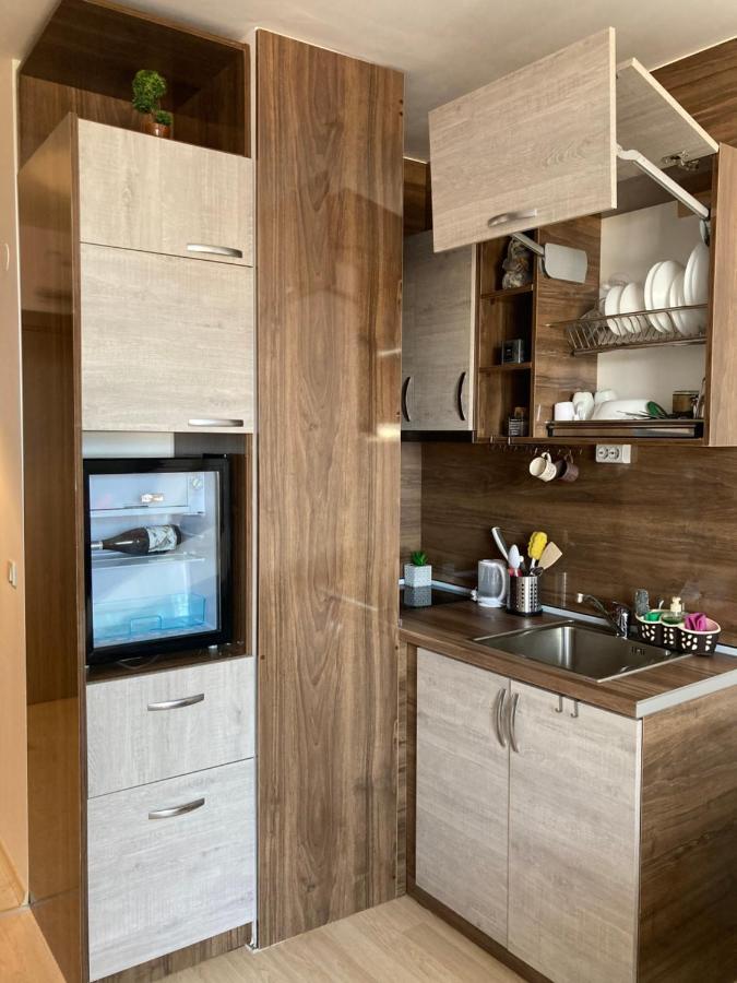 Mirabell Studio Bansko - Amazing View & Fireplace Kültér fotó